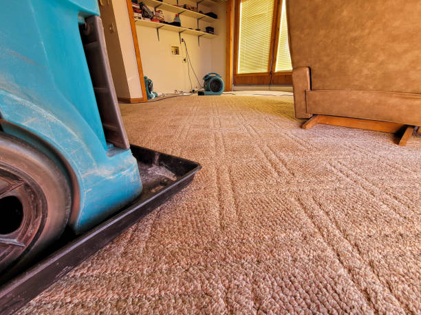 The Essential Guide to Water Damage Restoration